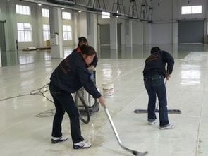 紫晶西城中心周邊專業保潔服務 裝潢后保潔、地板打蠟與玻璃清潔一站式解決方案